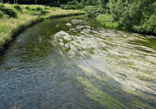 Katatrofa ekologiczna na rzece Bóbr. Wprowadzono zakaz korzystania z wody akwenu