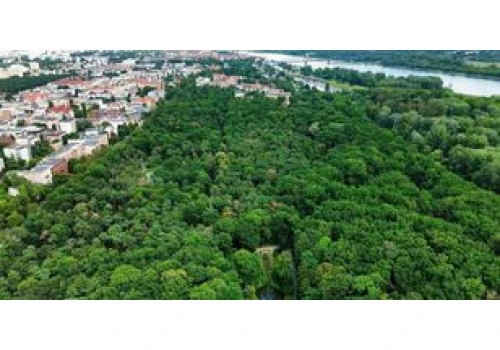 Park na Bydgoskim Przedmieściu przejdzie metamorfozę. Mieszkańcy mają mieszane odczucia