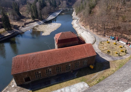 Kilkanaście ton śniętych ryb. Fragment polskiej rzeki zamknięty
