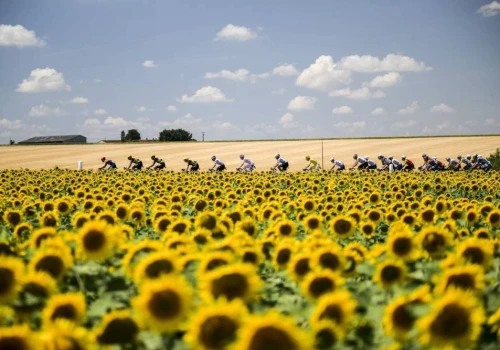 Tour de France 2026: Procedury organizatorów dotyczące upałów