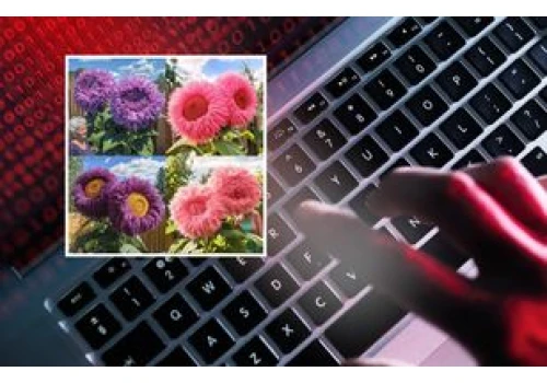Te kwiaty nie istnieją. Amazon, eBay i Etsy mierzą się z falą ofert