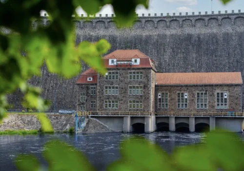 Tauron zapowiada odbudowę ekosystemu na Jeziorze Pilchowickim
