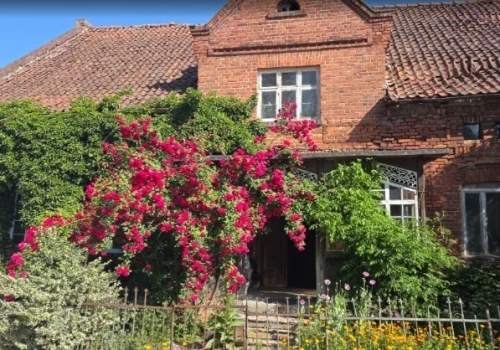 Gawęda o szkarłatnych różach i białych laubzekinach (Opowieści z Dąbrowy, odc. 12)