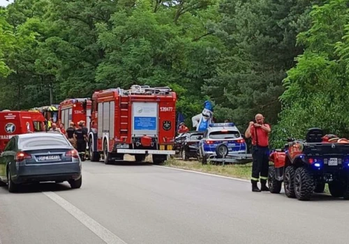 Tragiczny finał poszukiwań 21-latka. Zwłoki znaleziono w lesie
