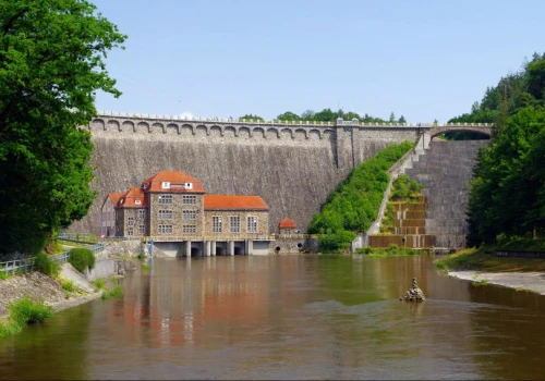 Remont tamy skończył się katastrofą. Tauron odpowie na pytania śledczych o 15 tys. ton śniętych ryb