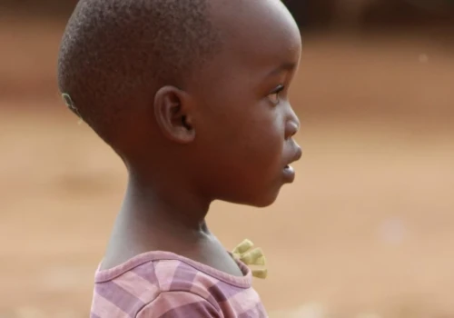 WHO zatwierdziła pierwszy test na wirusa Ebola Bundibugyo. Ma przyspieszyć wykrywanie zakażeń