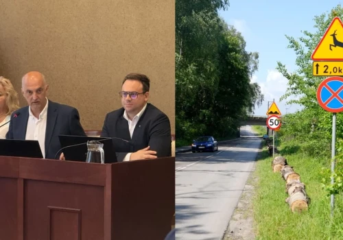 Kłody przy Zalewie Sosina w Jaworznie. Lasy Państwowe prostują słowa prezydenta