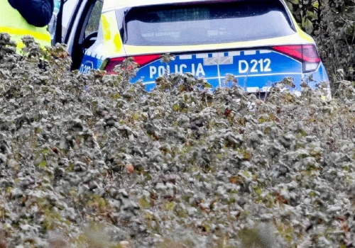 Śmierć 64-letniej kobiety w Borkowie. Policja zatrzymała 65-latka