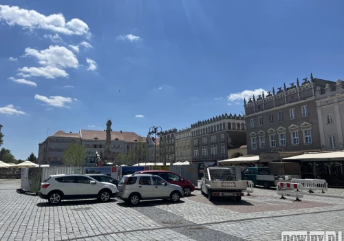 Antykoncepcyjna karma dla gołębi trafi na rynek w Raciborzu. „Nie chcemy stosować brutalnych metod wobec tych miłych ptaków”