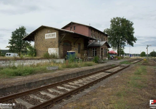 Międzyrzecz – Wierzbno: Po likwidacji ruchu pasażerskiego linia pozostaje czynna