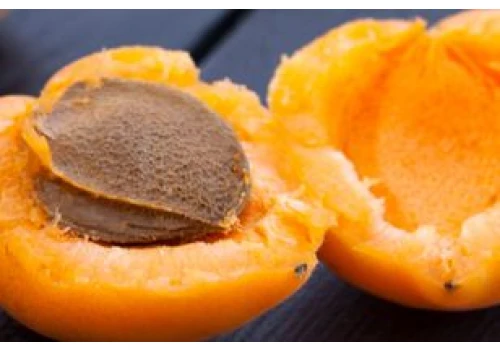 Latem zajadamy się tymi owocami na potęgę i podajemy dzieciom. Jak wpływają na organizm?