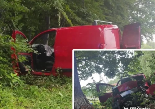 Młodzi ludzie poszkodowani w wypadku pod Wińcem. Bus uderzył w drzewo