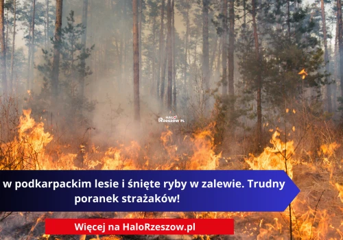 Ogień w podkarpackim lesie i śnięte ryby w zalewie. Trudny poranek strażaków!