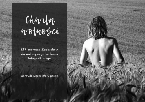 „Chwila wolności” w obiektywie. Zaolziańskie Towarzystwo Fotograficzne zaprasza do konkursu