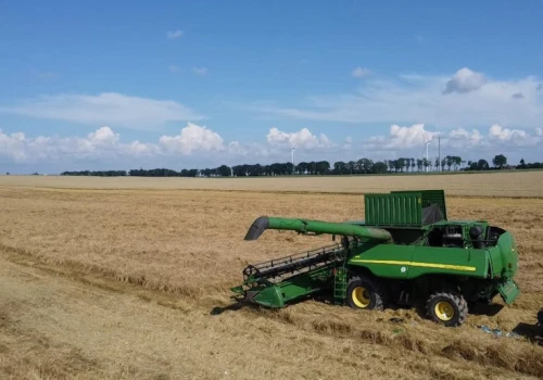 Żniwa jęczmienia na południu Polski. Takie są plony i ceny skupu