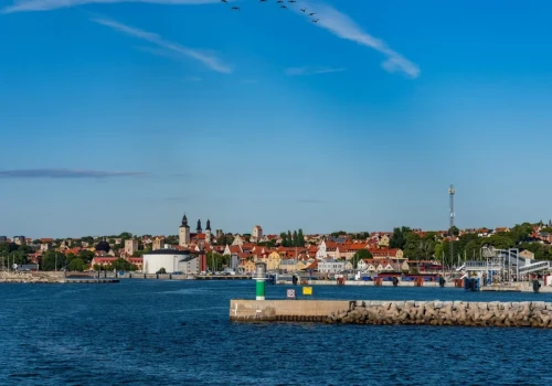 Kąpiel w morzu lekarstwem na problem. Nietypowy apel nad Bałtykiem