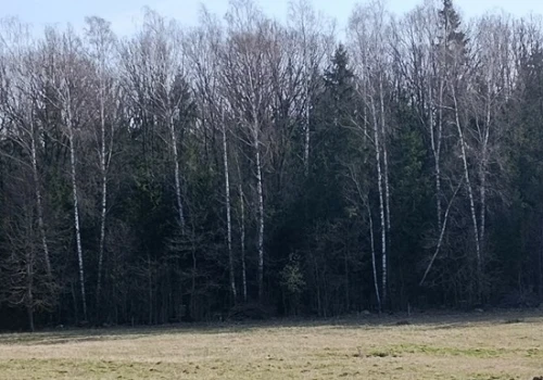 Sprzeciw wobec planów utworzenia rezerwatu. Mieszkańcy mogą podpisywać petycję