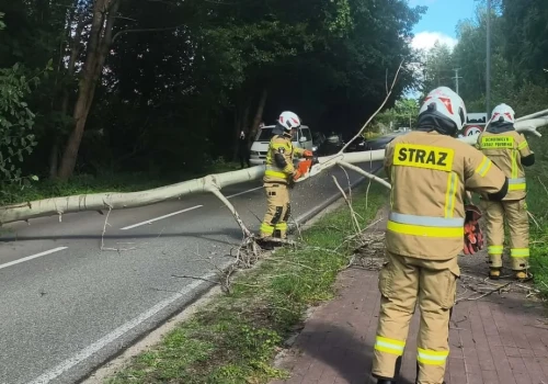 Silne porywy wiatru i ochłodzenie. Strażacy usuwali skutki wichury