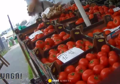 Co kryje się w pomidorach? Sprawdzili je w laboratorium. Wyniki są zaskakujące