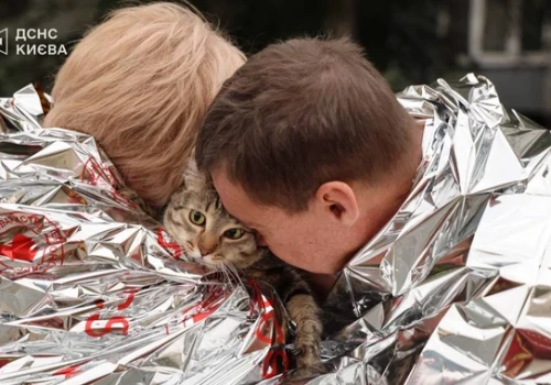 Rosja uderzyła z pełną siłą! Polała się krew….