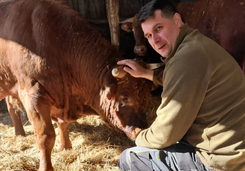800 hektarów i 12 ciągników. Fenomenalne gospodarstwo na Dolnym Śląsku