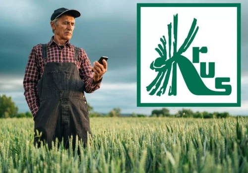 KRUS zaczyna wysyłać SMS-y do rolników. Trzeba podać te dane