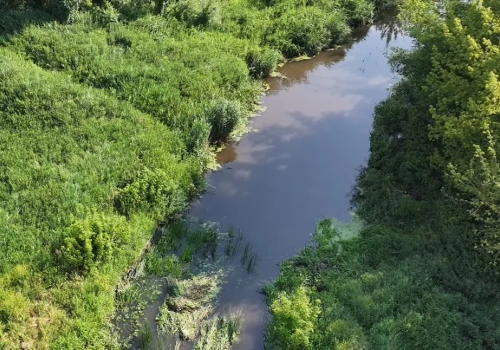 Mętna i szara woda, zapach ścieków. Zanieczyszczenie rzeki w Ciechanowie