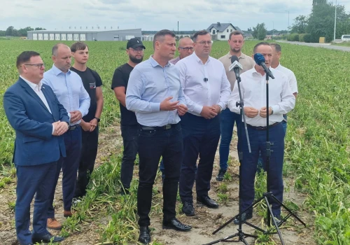 Nawałnice i grad zniszczyły ponad tysiąc hektarów