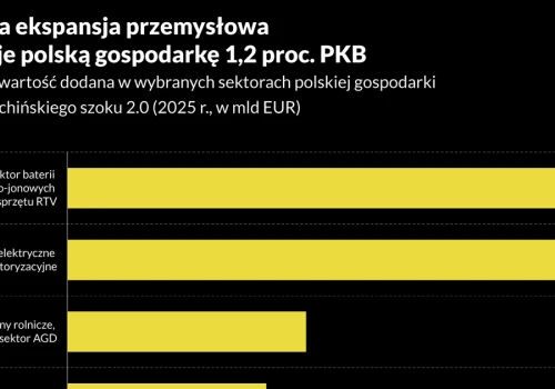 Chiński szok 2.0 kosztuje polską gospodarkę 1,2 proc. PKB. Najmocniej cierpią baterie, motoryzacja i stal