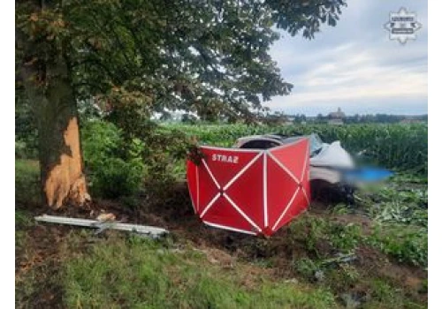 Mercedes uderzył w drzewo. Śmierć dwóch młodych osób