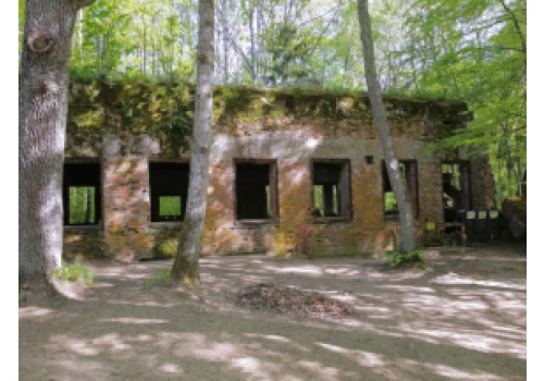 Archeolodzy chcą rozwikłać sekret szkieletów w domu Göringa w Wilczym Szańcu