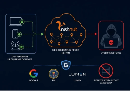 Google uderza w NetNut. Wojna ze złośliwymi sieciami residential proxy dopiero się zaczyna