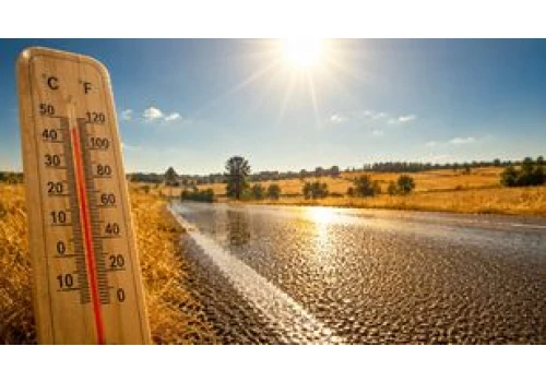 Rekord temperatury w Polsce: 40,5°C w Słubicach. Jak upał uderzył w Wielkopolskę i co czeka nas w połowie lipca