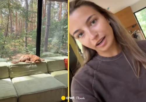 Julia Wieniawa pokazała wnętrza domu w środku lasu. 