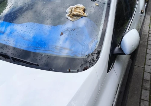 Ktoś codziennie brudzi mu samochód fekaliami. 