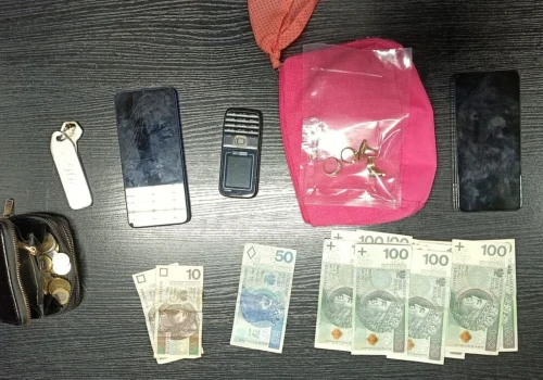Bezczelne oszustwo „na wnuczka” w Rzeszowie. 18-latka z Czech z 3-miesięcznym aresztem