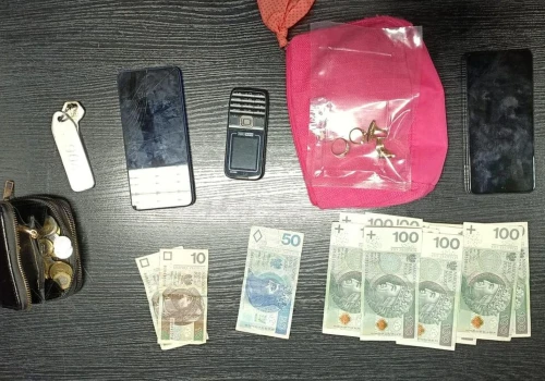 18-letnia Czeszka zatrzymana za kradzież w Rzeszowie. Weszła do mieszkania 83-latki
