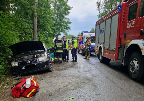 Zderzenie osobówki z drzewem w gminie Ćmielów