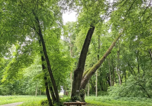 To tu narodził się polski romantyzm