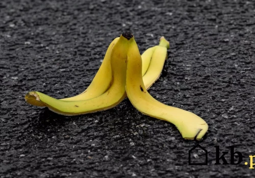 Skórki z banana naprawdę działają jako nawóz? Odpowiedź nie jest tak prosta