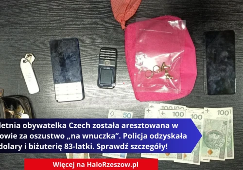 Wnuczek w tarapatach, na progu nastolatka z Czech. Tak oszukano 83-latkę z Rzeszowa