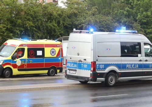 Chciał tylko pogłaskać psa. Skończył z licznymi obrażeniami