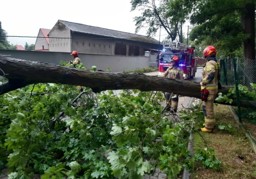 Silny wiatr w powiecie braniewskim. Pracowity dzień strażaków
