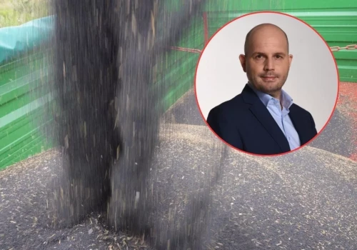 Polsce zabraknie rzepaku? Tłocznie będą szukać go za granicą