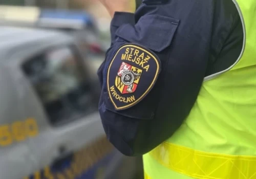 Wrocławianie płacą miliony za mandaty. Na którym osiedlu najłatwiej o karę?
