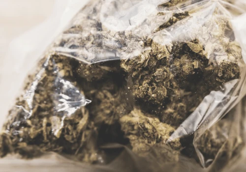 Ponad 8 kilogramów marihuany i 4-CMC. Grozi im 12 lat