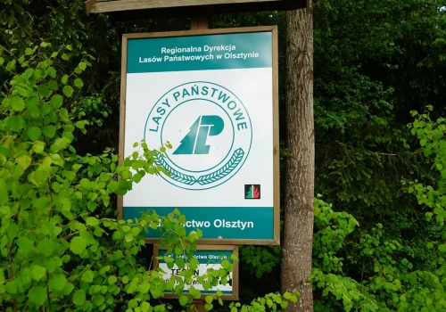 Działania resortu klimatu przyniosą paraliż gospodarki leśnej