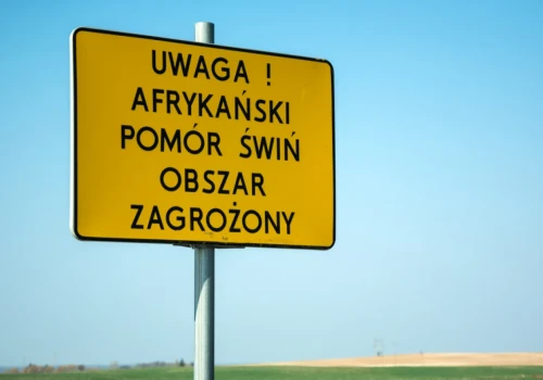 ASF w kolejnej chlewni w Polsce