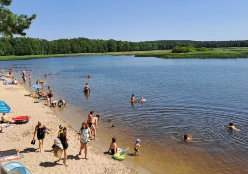Wielki problem z polskimi stawami. Mogą wyschnąć przed końcem lata