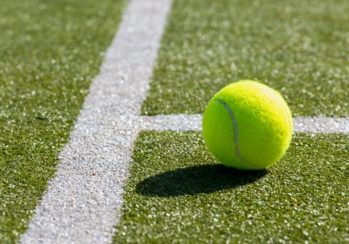 Półfinały Wimbledonu w czwartek i piątek: Zverev i Fery w ATP, Kostyuk i Noskova w WTA